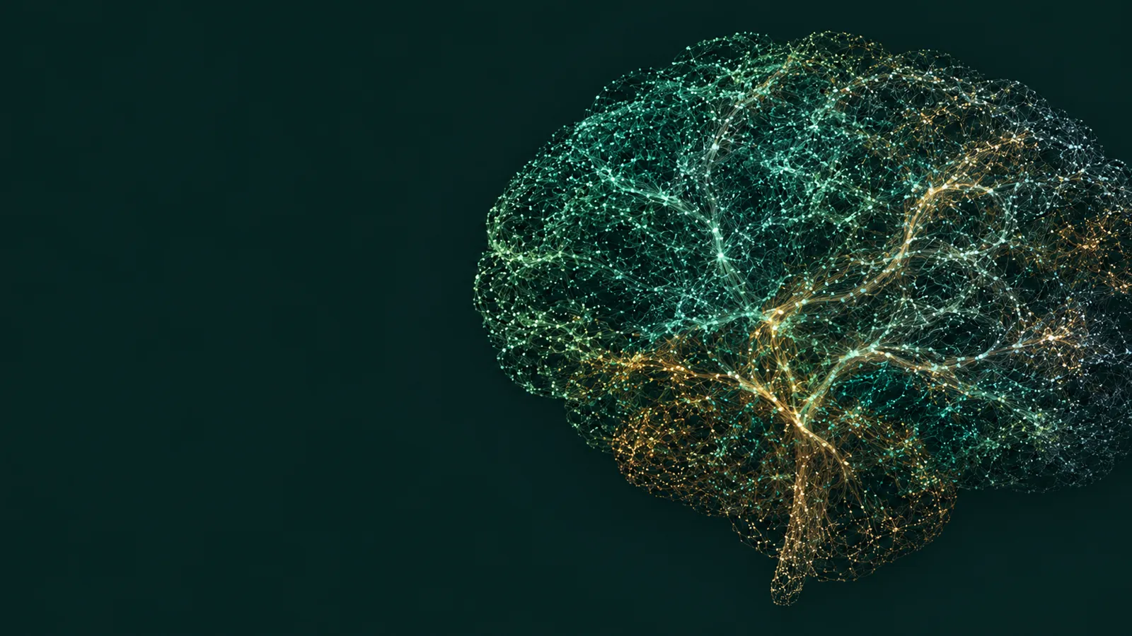 Illustration inspired by Noetum’s Brain Canvas: fine cyan and amber connections form a map of related memories.